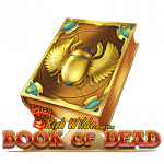 Book of Dead spielen